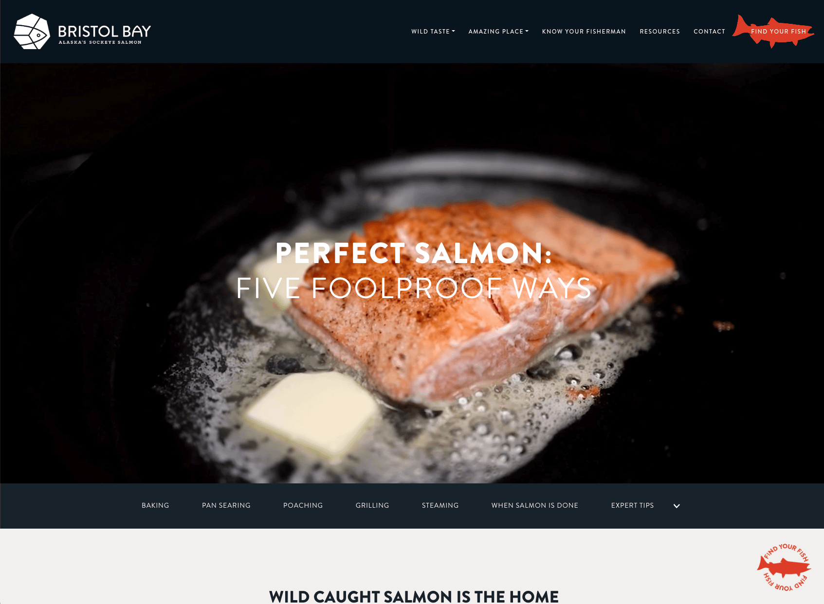 Bristol Bay Sockeye Salmon Cooking Guide homepage design