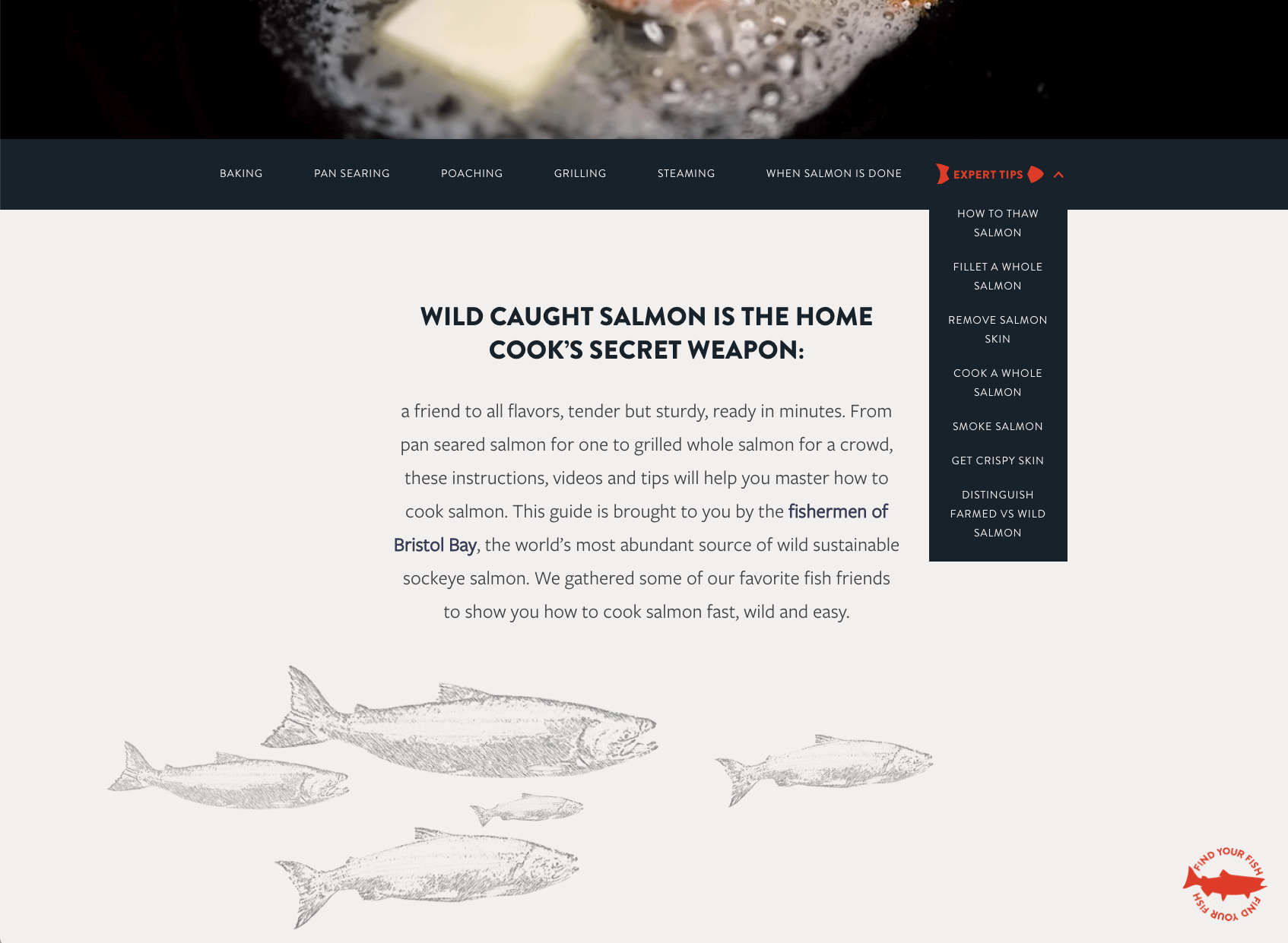 Bristol Bay Sockeye Salmon cooking guide web design showing illustrated fish swimming across page